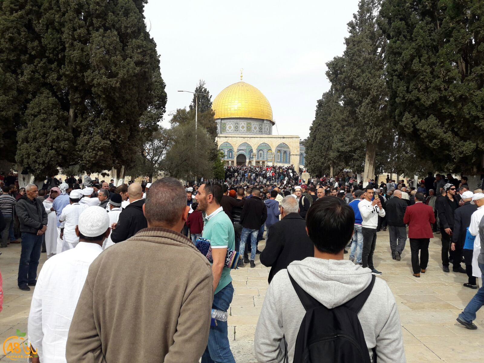 aqsa masirate (7).jpg